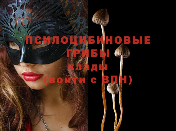 2c-b Михайловск