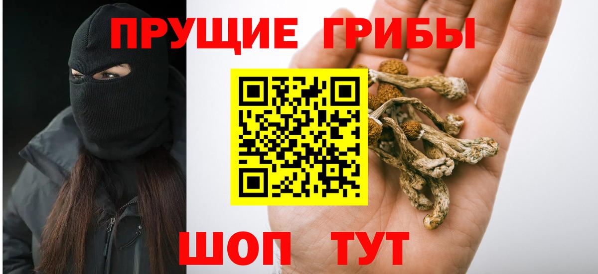 Псилоцибиновые грибы прущие грибы Киреевск